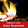 Salsa Tanzschule Logo